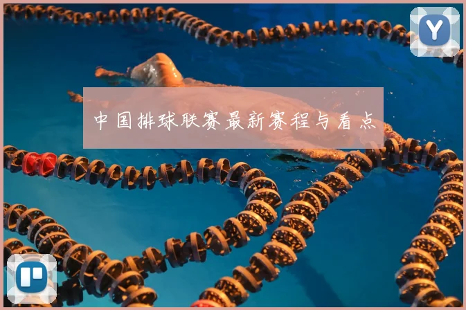 中国排球联赛最新赛程与看点