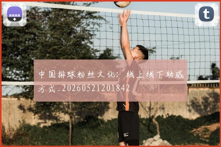 中国排球粉丝文化：线上线下助威方式_20260521201842